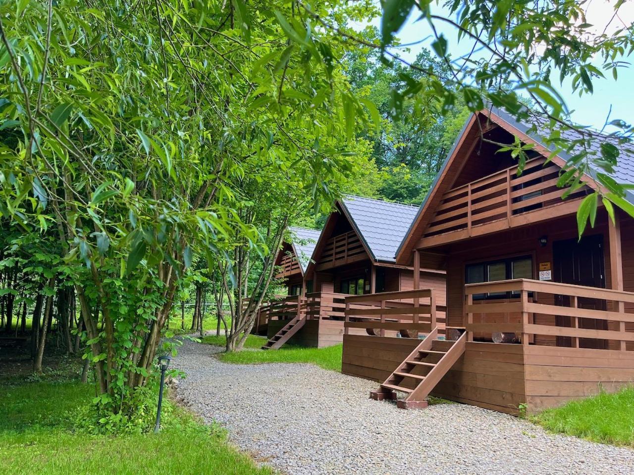 Bieszczady Kameralnie *