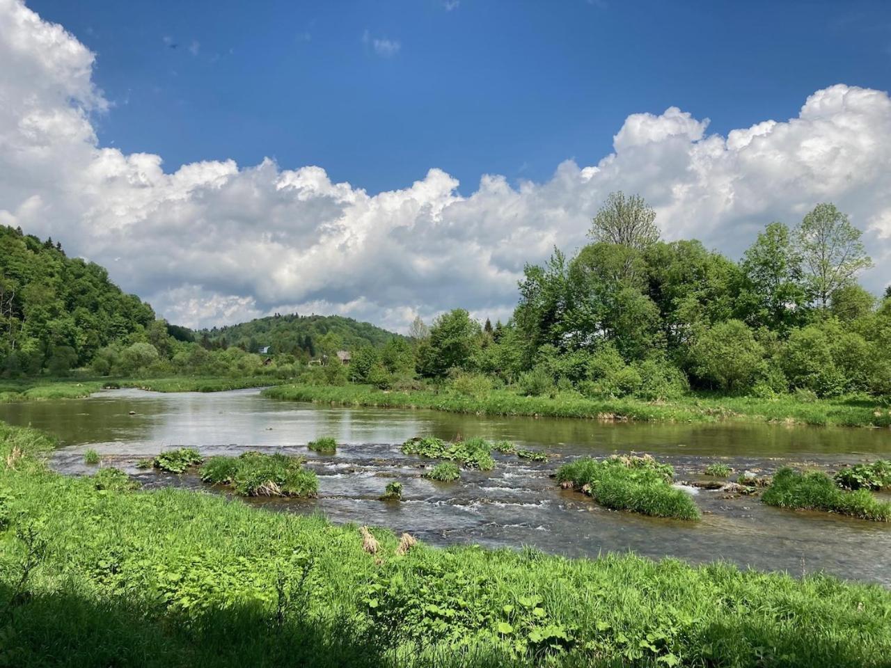 Bieszczady Kameralnie *